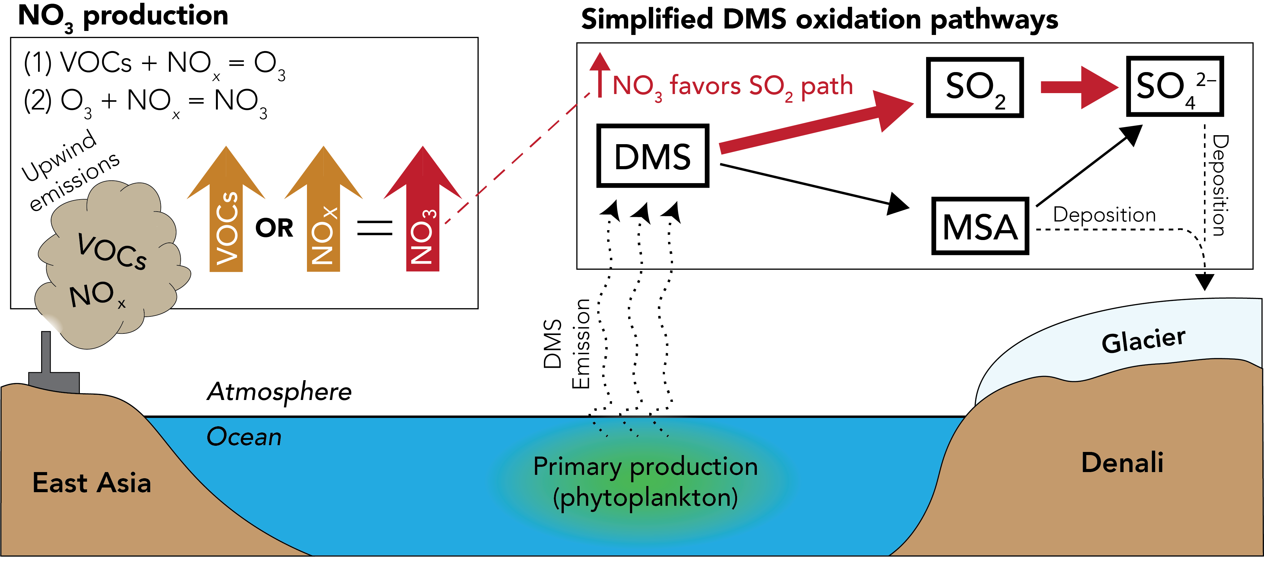 Schematic showing how pollution alters dimethyl sulfide oxidation and reduces methanesulfonic acid deposition in Arctic ice