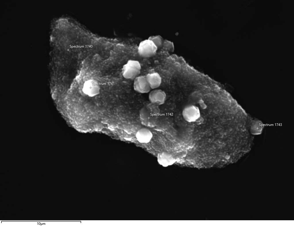 Scanning electron microscope image of dust from Allan Hills ice